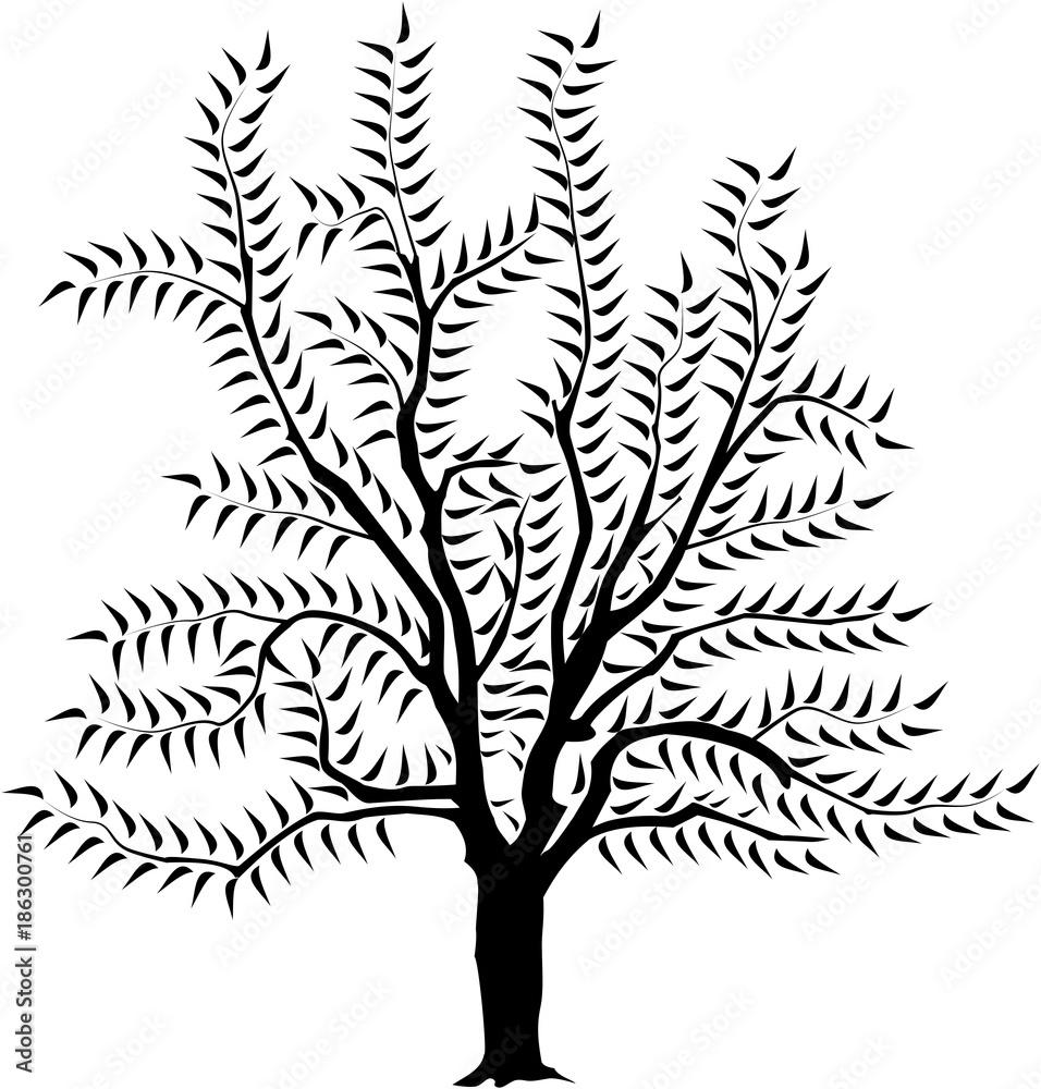 Wall mural vector image of a tree in spring