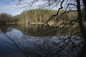 Obraz premium lake in a mysterious forrest