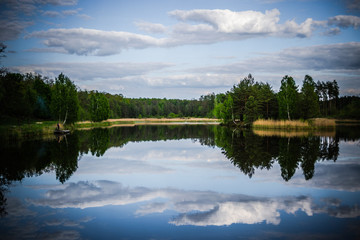 Beautiful lake in the forest