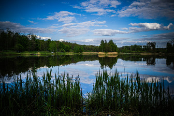 Beautiful forest lake with a reflection of the sky