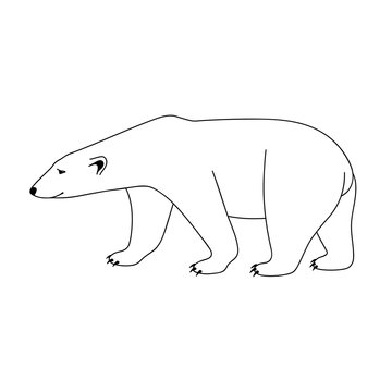 Isolated black outline polar bear on white background. Curve lines. Page of coloring book.