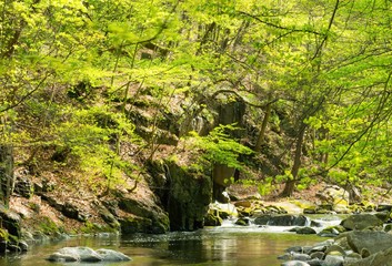 Bodetal im Frühling, Ostharz, Sachsen-Anhalt, Deutschland, Europa