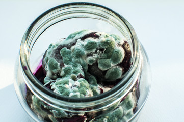 Open glass jar with mold grown on forgotten boiled beetroot closeup