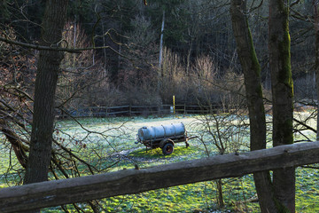 Winterweide