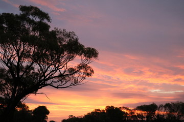 Fototapeta na wymiar Sunset in outback, Australia 