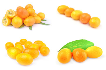 Collage of kumquats