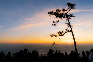 the silhouette of people are looking to the natural on the Phu Kradueng National Park, Loei,...