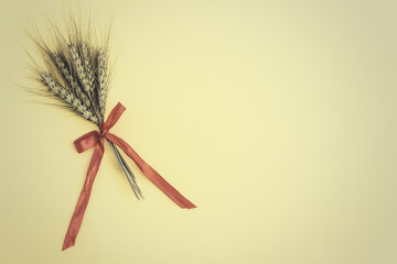 group of green spikes with red ribbon on yellow background