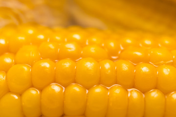 Wet juicy corn in macro © neonnspb