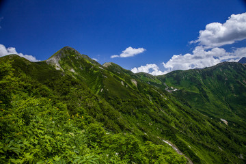 Fototapeta premium 山歩き