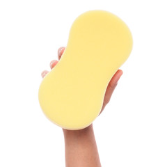 hand holding yellow sponge