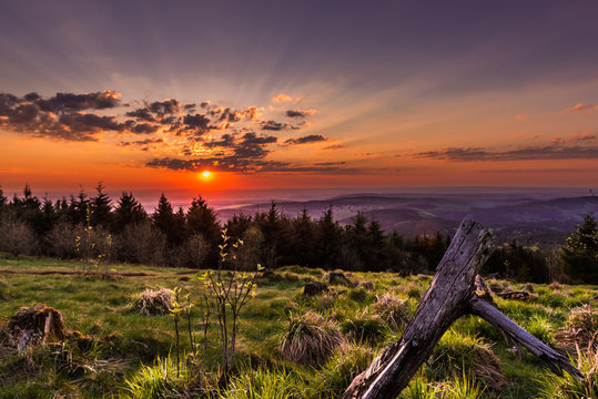 Feldbergblick