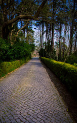 stone walkway in sintra portugal
