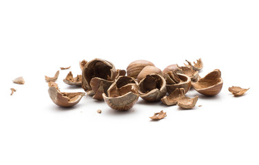 Hazelnut hollow shells stack isolated on white background.