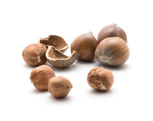 Hazelnuts isolated on white background group of brown shelled and unshelled nuts.