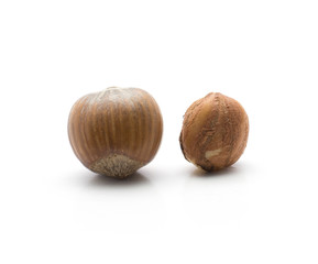 Two hazelnuts isolated on white background shelled and unshelled comparing.