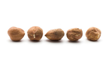 Five shelled hazelnuts in row isolated on white background.
