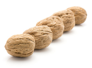 Unshelled walnuts isolated on white background five whole in row.