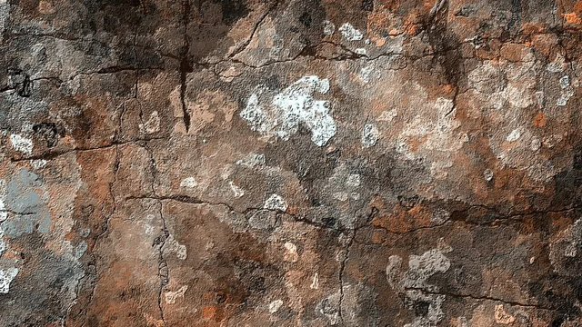 cracked process on an old wall
