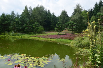 Nepal Himalaya Park in Wiesent, Oberpfalz - großer Teich