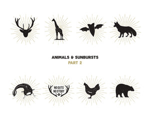 Set of wild animal figures and shapes with sunbursts isolated on white background. Black silhouettes giraffe, chicken, fox, deer, catfish and bat . Use as icons or in logo designs. pictograms