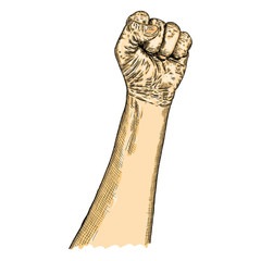 Human male hand raised up, symbol of fighting, freedom, revolution, protest and riot. Man power. Hand gesture sketch. Man wrist illustration isolated on white background. Vector.