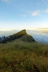 Hiking trail in mountains doimonjong, Landscape with fog at the top of the mountain, Chiang Mai ,Thailand