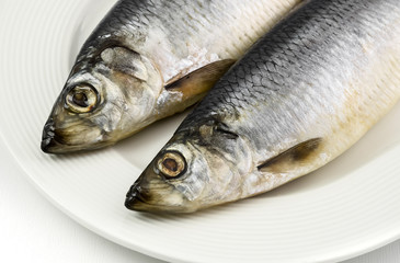 Salted herrings on the plate, isolated on white background.