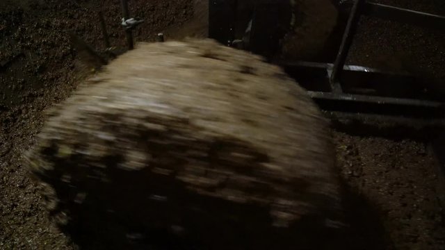 grinding olives during the production of olive oil