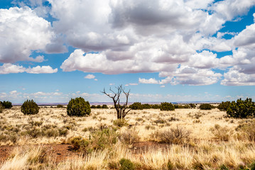 Arizona Desert Landscape Around the Painted Desert