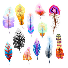 Big set of different colorful feathers on white