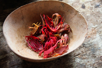 nutmeg mace isolated