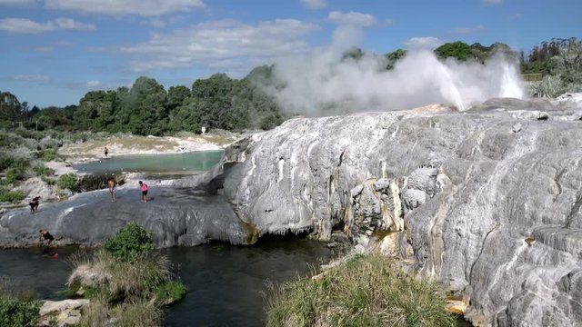 Geyser Rotorua in New Zealand. Underground source of natural hot water