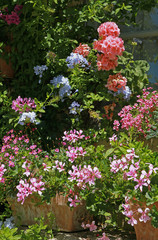 Façade de maison fleurie en été