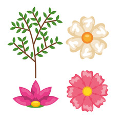 beautiful floral decoration icon