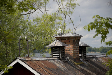 Fototapeta na wymiar Old brick chimneys with a seagull, Ekero, Sweden