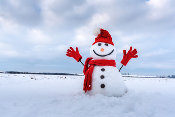 Funny snowman in stylish hat and red scalf on snowy field. Merry Christmass and happy New Year!