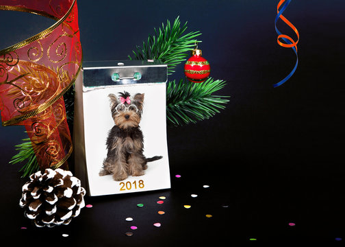 Tear-off calendar for 2018 with the image of dog of breed Yorkshire Terrier with fir branches and confetti on a black background.