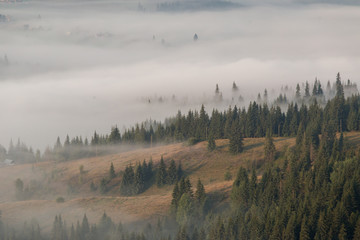 Fog over countryside