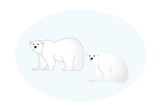 Illustrated polar bears