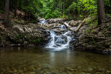 Stag Brook Trail