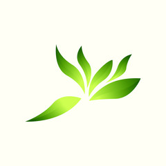 Leaf Logo Template. Eco icon green leaf vector illustration isolated.