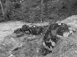 Boulders / large rocks covered with moss with trees in the background