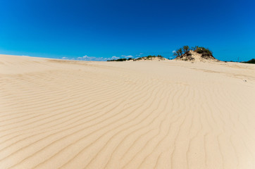 The dunes at Jockey ridge Outer Banks