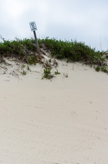 dunes at the outer banks North Carolina