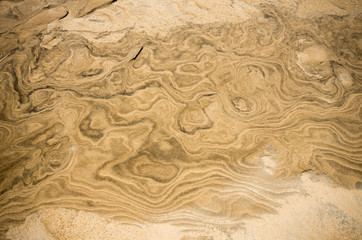 The dunes at Jockey ridge Outer Banks
