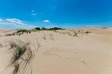 The dunes at Jockey ridge Outer Banks
