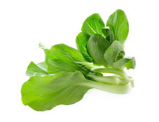 Bok choy isolated on white background