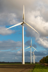 Windmills on the field