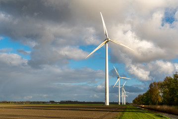 Windmills on the field